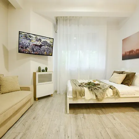 Appartement Ideal - Spacious & Modern Near Unirii Square
