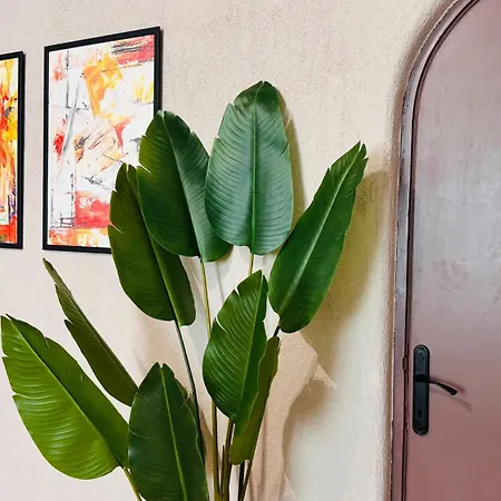 Ideal - Spacious & Modern Near Unirii Square * Bukarest